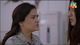 Hadd - Episode 67 - 1st June 2026